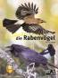 Preview: Entdecke die Rabenvögel
